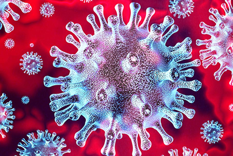 Graphic of the COVID-19 coronavirus
